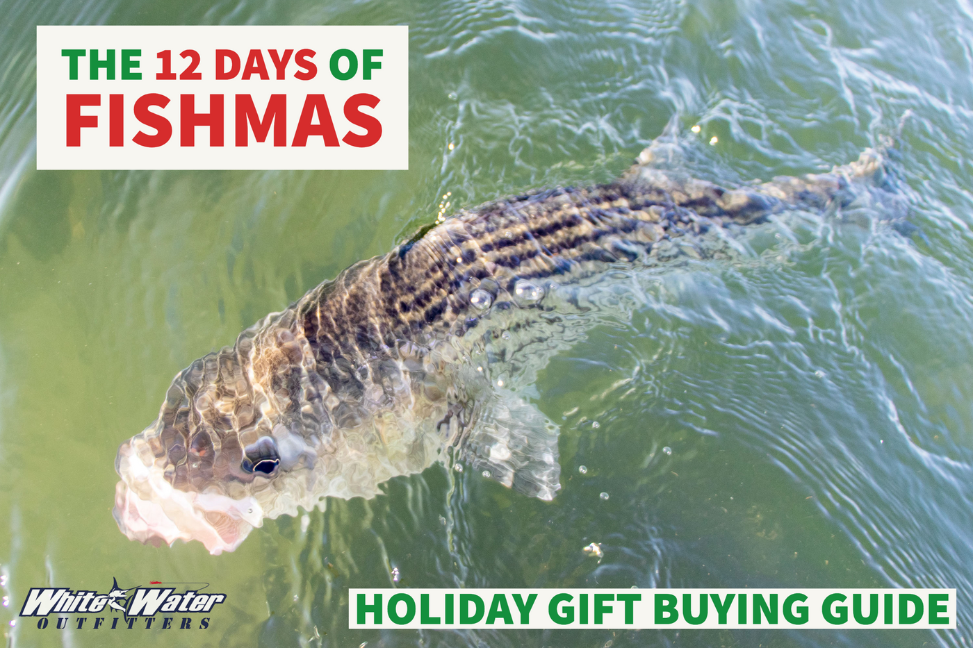 The 12 Days of Fishmas: Holiday Gift Buying Guide