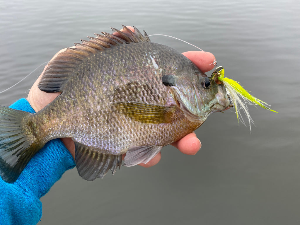 It’s Time To Target Winter Panfish