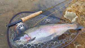 Hit Connetquot For Winter Trout