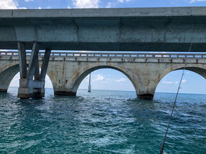 DIY Florida Tarpon, Part II