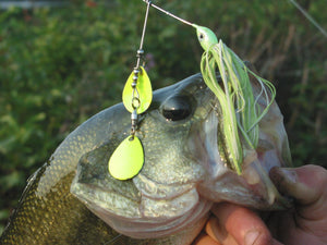 Don't Forget Your Spinnerbaits