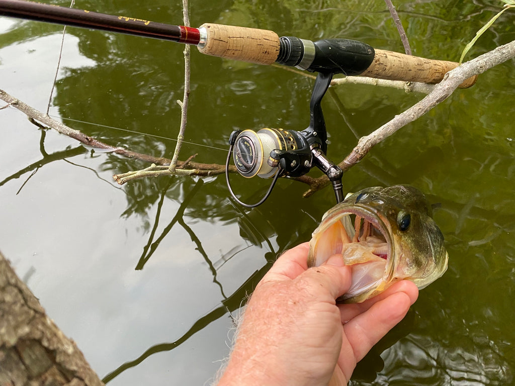 Bang the Brush for Late Summer Bigmouths