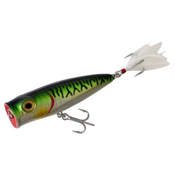 Tsunami TS Surface Popper Lures