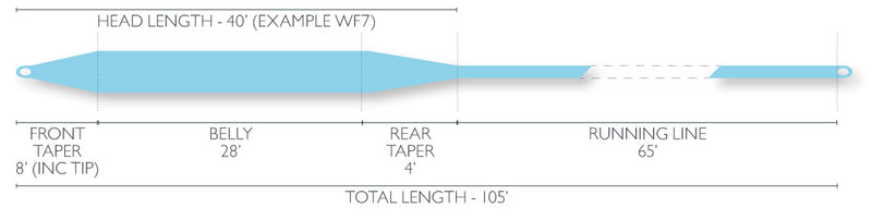 Airflo Cold Saltwater (Ridge Striper) Fly Line