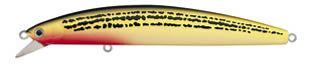 Daiwa Salt Pro SP Minnow Lures