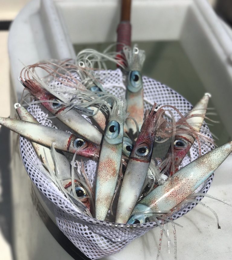 Ling Cod Living Squid Glow Jigs